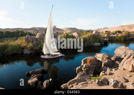 Barche a vela in feluca sul fiume Nilo, Aswan, Egitto Foto Stock