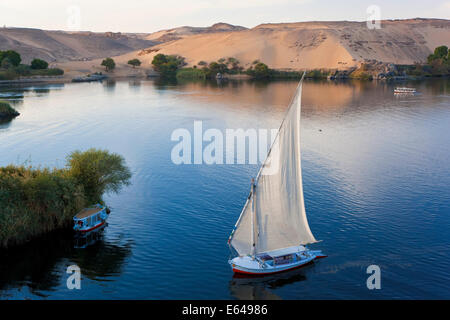 Barche a vela in feluca sul fiume Nilo, Aswan, Egitto Foto Stock