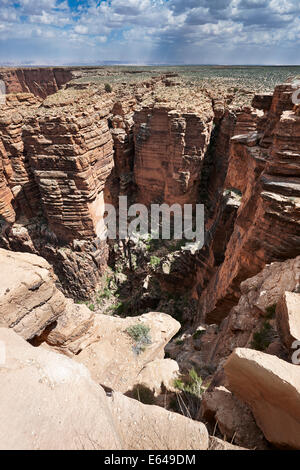 Little Colorado River Gorge. In Arizona, Stati Uniti d'America. Foto Stock
