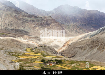 Valle di Nubra, Ladakh, India Foto Stock