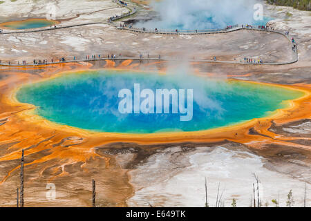 Grand Prismatic Spring, Midway Geyser Basin, il Parco Nazionale di Yellowstone, Wyoming USA Foto Stock