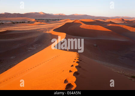 Uomo di mezza età arrampicata dune di sabbia, Namib Naukluft National Park, Namibia Foto Stock