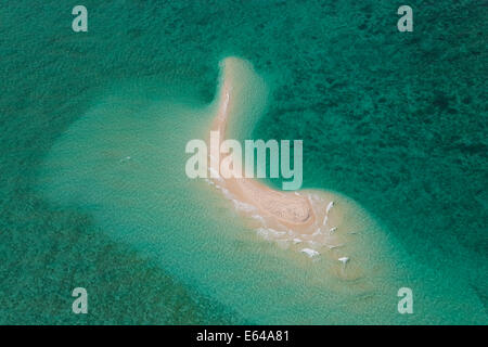 Undine Reef Great Barrier Reef Marine Park North Queensland Australia antenna Foto Stock