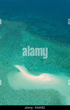 Undine Reef Great Barrier Reef Marine Park North Queensland Australia antenna Foto Stock