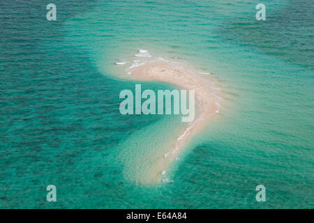 Undine Reef Great Barrier Reef Marine Park North Queensland Australia antenna Foto Stock