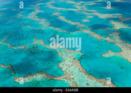 La Grande Barriera Corallina, Queensland, Australia Foto Stock