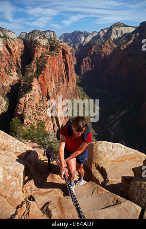 Escursionista sul ripido stretto angeli pista di atterraggio e Canyon Zion 1000ft/305m sotto, il Parco Nazionale di Zion, Utah, Stati Uniti d'America Foto Stock