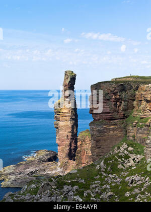 dh Old Man of Hoy HOY ORKNEY scogliere arenaria rossa mare stack Seacliffs costa atlantica scogliere scotland stack Foto Stock