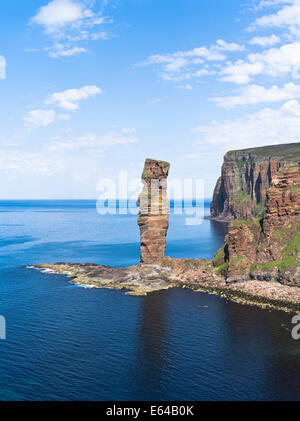 dh costa atlantica scozia scogliere VECCHIO UOMO DI HOY ORKNEY ISLES Red arenaria mare stack St Johns Head Seacliffs scogliera vista dei riferimenti anatomici stack Foto Stock