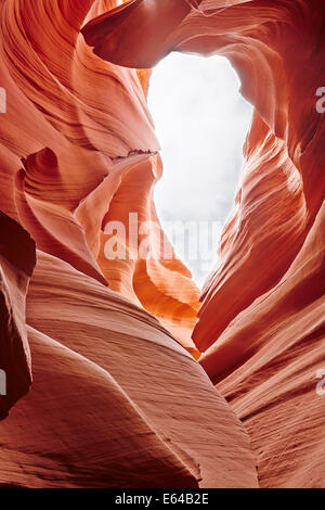 Erose pareti di pietra arenaria di abbassare Antelope Canyon Slot con la patch del cielo sopra . Pagina, Arizona, Stati Uniti. Foto Stock