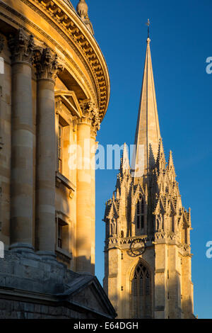 Sera La luce del sole su Radcliffe Camera e la torre della chiesa di Santa Maria di Oxford, Oxfordshire, Inghilterra Foto Stock