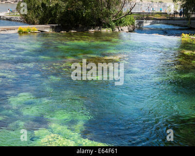 Giant Springs State Park, Great Falls, Montana, USA Foto Stock