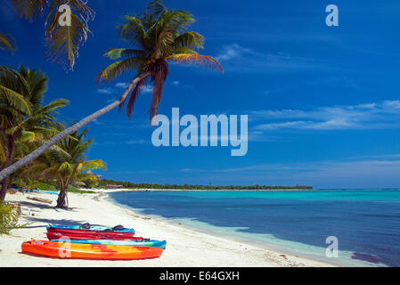 Kayak Palm tree e spiaggia Soliman Bay nei pressi di Tulum Yucatan Messico Foto Stock