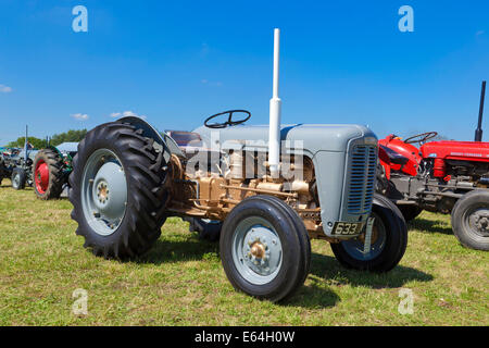 1957 Ferguson FE35 trattore sul display in un paese giusto mostrare Foto Stock