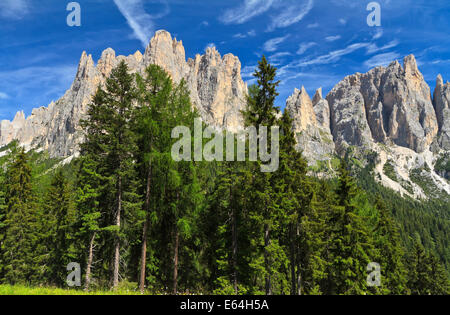 Estate paesaggio delle Dolomiti italiane nella Valle del Vaiolet. Sullo sfondo il Catinaccio mount, Trentino, Italia Foto Stock