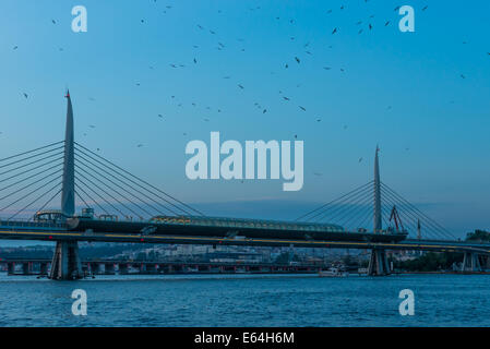 Centinaia di gabbiani cerchio sopra il Golden Horn Metro Bridge al tramonto a Istanbul. Foto Stock
