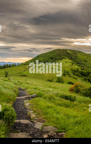 Le Highlands Stefano Fiore con la fiamma di azalee e rododendri viola ogni anno a metà giugno per integrare le luminose verdi del Foto Stock