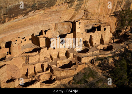 Cliff Palace (oltre 700 anni), il Parco Nazionale di Mesa Verde (Patrimonio Mondiale dell'UNESCO), Colorado, STATI UNITI D'AMERICA Foto Stock