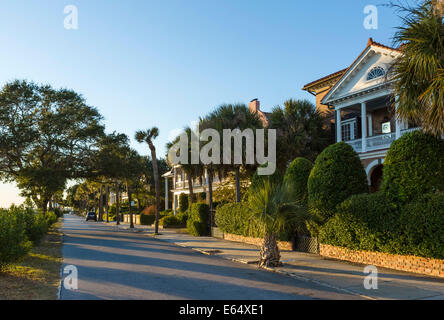 Case storiche lungo il lungomare sul Murray Boulevard, illuminato dal sole al tramonto, Charleston, Carolina del Sud, STATI UNITI D'AMERICA Foto Stock