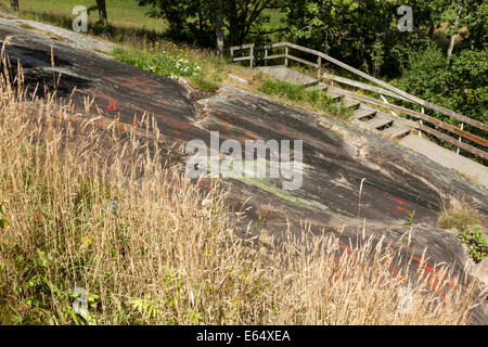 Età del bronzo incisioni rupestri sul piano di Tanum, Bohuslän, Västra Götalands Län in Svezia. Foto Stock