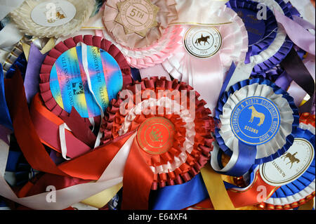 Una vecchia scatola di horse show rosette in una casa colonica in Dorset Regno Unito Foto Stock