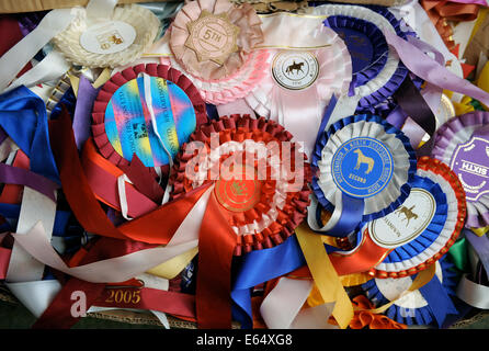 Una vecchia scatola di horse show rosette in una casa colonica in Dorset Regno Unito Foto Stock