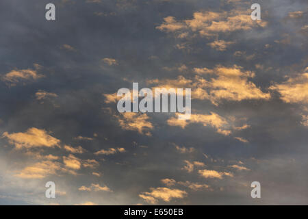 Altocumulus nubi nella luce del tramonto contro l'alto livello cirrostratus nubi, Andalusia, Spagna Foto Stock