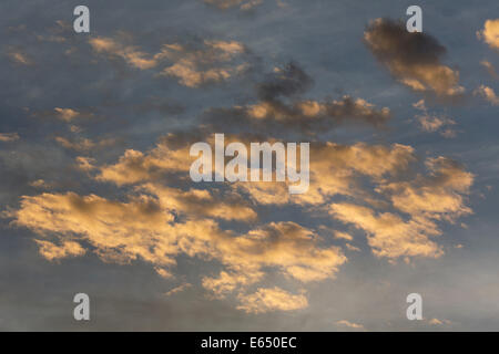 Altocumulus nubi nella luce del tramonto contro l'alto livello cirrostratus nubi, Andalusia, Spagna Foto Stock