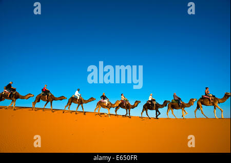 I turisti a cavallo di cammelli sulle dune di sabbia di Erg Chebbi, il Deserto del Sahara, sud del Marocco, Marocco Foto Stock