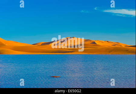 Le dune di sabbia di Erg Chebbi nella luce della sera, temporanea del lago che formato dopo le piogge nella parte anteriore, Sahara Foto Stock