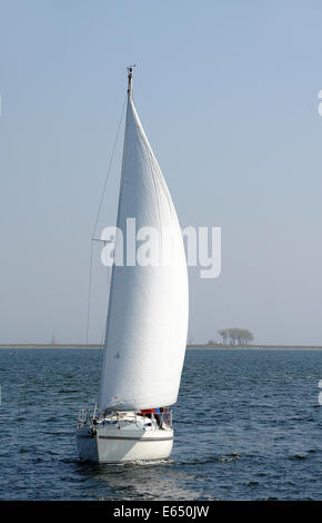 Barca a vela sul fiume Schlei, Schleimünde, Schleswig-Holstein, Germania Foto Stock