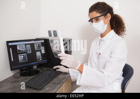 Dentista esaminando lastre sul computer Foto Stock