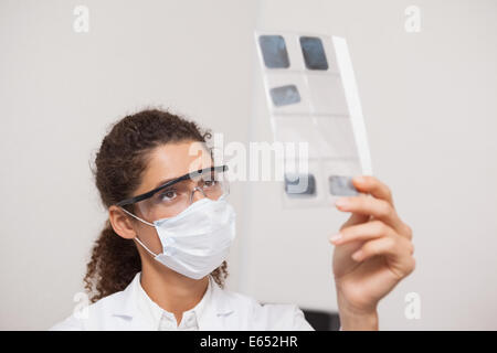 Dentista esaminando lastre sul computer Foto Stock