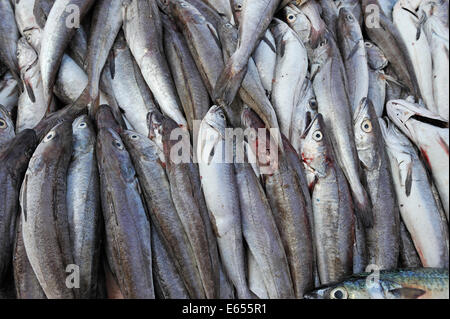 Pesce per la vendita su un mercato in stallo Foto Stock