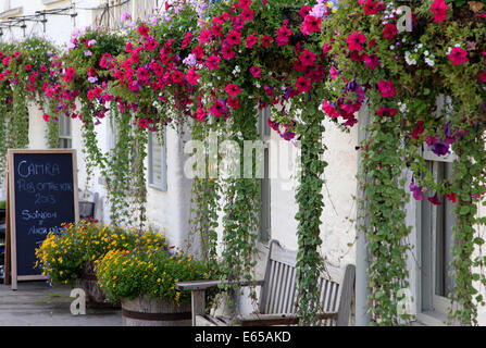 Una fila di cestelli appesi al Red Lion pub di Cricklade nel Wiltshire Cotswolds, Inghilterra. Foto Stock