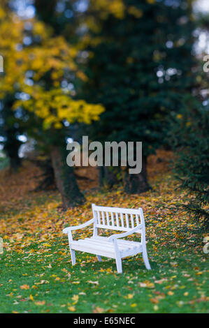 Vacante in panchina nel parco di autunno Foto Stock