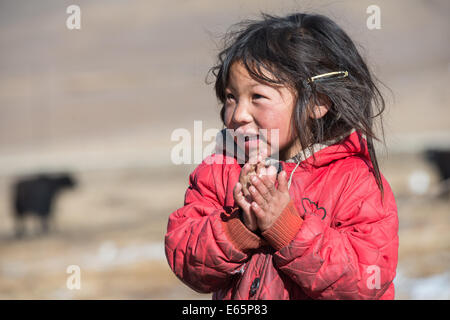 Estasiato giovane ragazza di una famiglia nomade tibetana in Provincia di Qinghai sta cercando di estranei Foto Stock