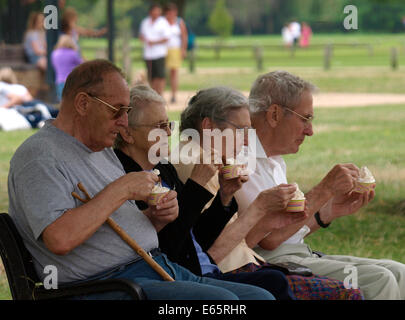 Quattro pensionati seduti su una panchina nel parco a mangiare il gelato, Stratford upon Avon, Regno Unito Foto Stock