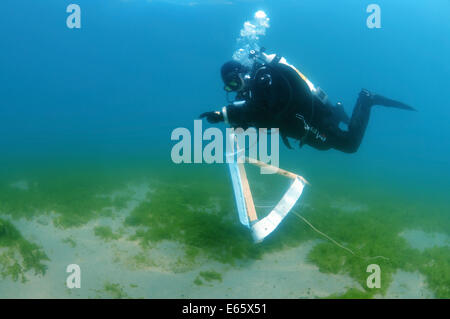 Artista assistente nuota con il quadro dipinto da l'acqua, l'artista artista subacquea Yuriy Alexeev (Yuri Alekseev). Foto Stock