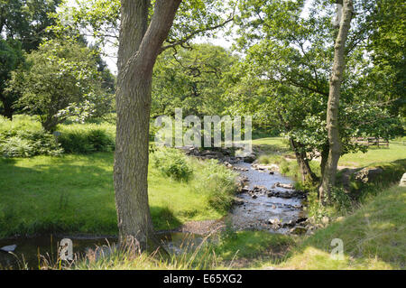 Il fiume Lin in esecuzione tra gli alberi a Glenfield Lodge Park in Leicestershire Foto Stock