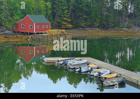 Aragosta, dock Sud Brooksville, Maine, Stati Uniti d'America Foto Stock