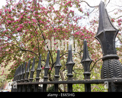 Gramercy Park in primavera, NYC, STATI UNITI D'AMERICA Foto Stock