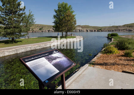 Giant Springs State Park, Great Falls, Montana, USA Foto Stock