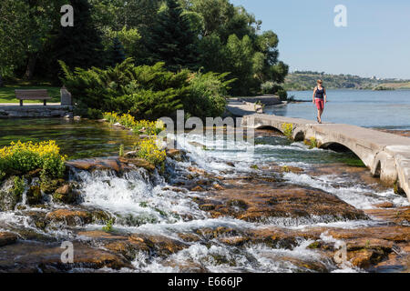 Giant Springs State Park, Great Falls, Montana, USA Foto Stock