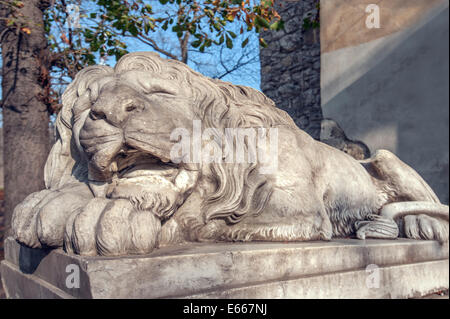 Lion scultura sulla città di Leopoli. L'Ucraina Foto Stock