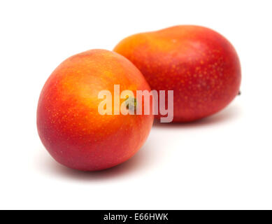 Mango maturo frutto isolato su bianco Foto Stock