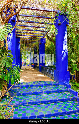 Cactus,giardino costruito da Jacques Majorelle 1923,poi acquistata da Yves Saint-laurent,celebre stilista,bougainvillea,bamboo,Marrakech Foto Stock