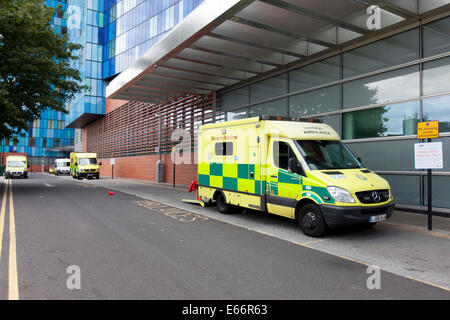 Whitechapel, UK. 16 Ago, 2014. Il Royal Hospital di Londra, Whitechapel, London, England, Regno Unito Credito: Simon Balson/Alamy Live News Foto Stock