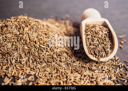 Cucchiaio di legno con cumino su sfondo nero Foto Stock