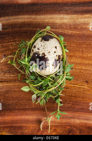 Uovo di quaglia e timo su uno sfondo di legno Foto Stock